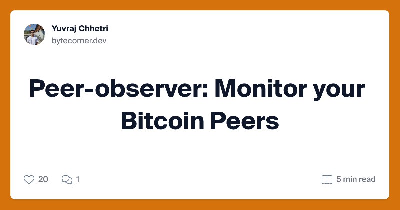 Bitcoin Peer Observer