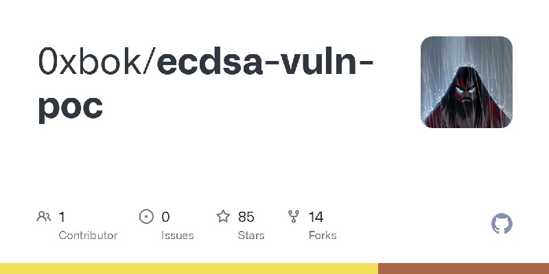 GitHub - 0xbok/ecdsa-vuln-poc