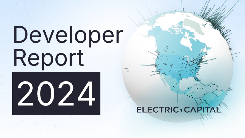 Developer Report