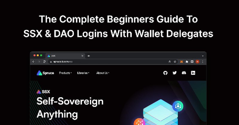 The Complete Beginners Guide To SSX & DAO Logins With Wallet Delegates