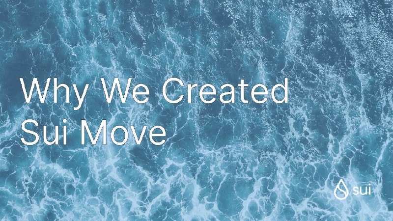 Why We Created Sui Move