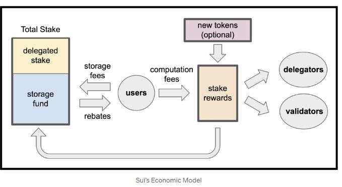 Sui vs Aptos: How do Tokenomics, Move, and DApps compare?