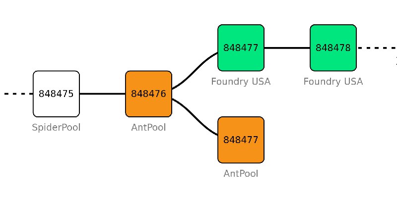 Mining Pool Behavior during Forks