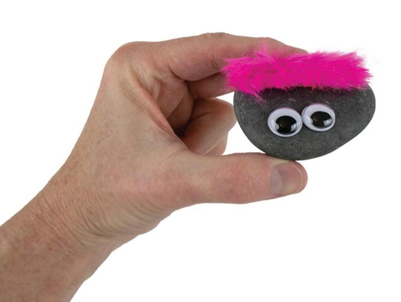 Setting Your Pet Rock Free