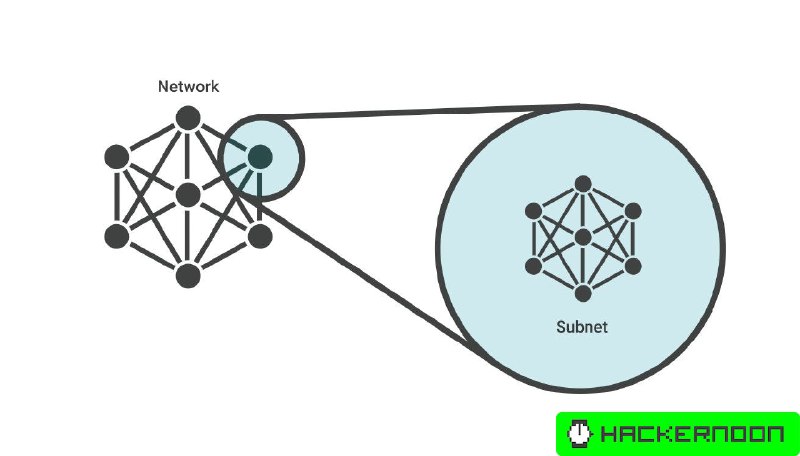 Subnets For Blockchain Scalability: Avalanche vs Internet Computer | HackerNoon